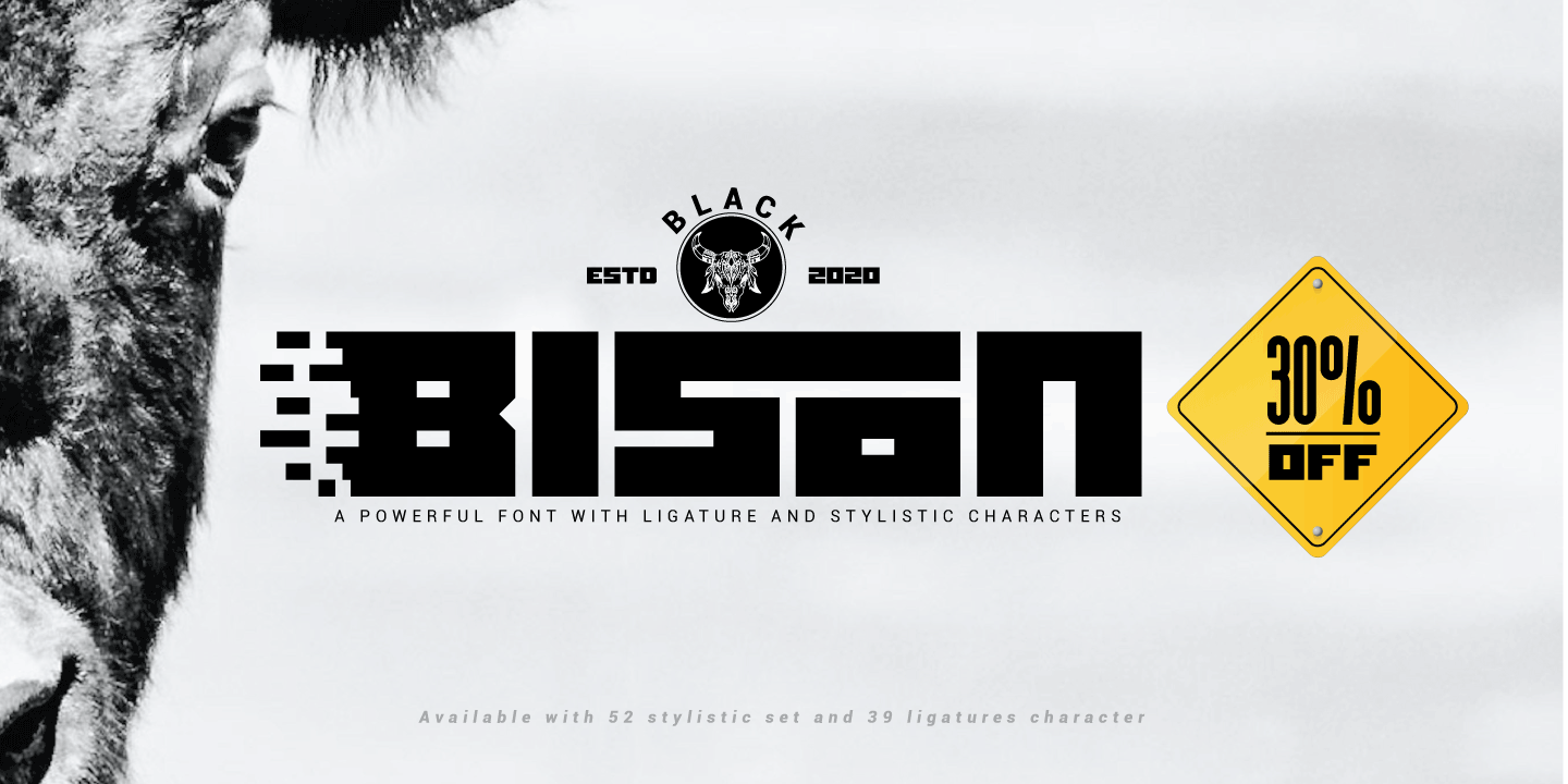 Example font Black Bison #8